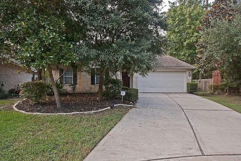 Photo of 43 Steep Trail Place, Conroe, TX 77385 (MLS # 80711702)