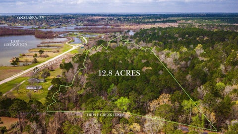Vacant Land For Sale - 160 Triple Creek Drive<br/> Livingston, TX 77351
