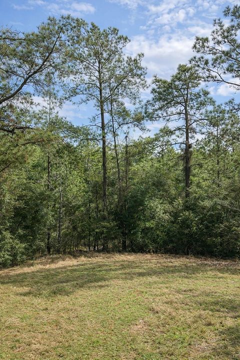 Vacant Land For Sale - TBD 123 Palmer Drive<br/> Brookeland, TX 75931