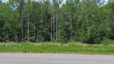 Photo of 1694 Road 66115, Dayton, TX 77535 (MLS # 54143450)