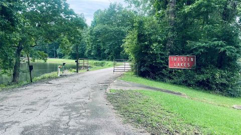 Photo of 6296 Fm-1374 Road, New Waverly, TX 77358 (MLS # 84697890)