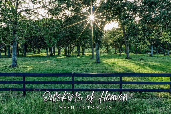 8321 EQUESTRIAN LN, WASHINGTON, TX 77880 - Image a49d07ad123ec79be3200f3ff8eee8bd/3118528557