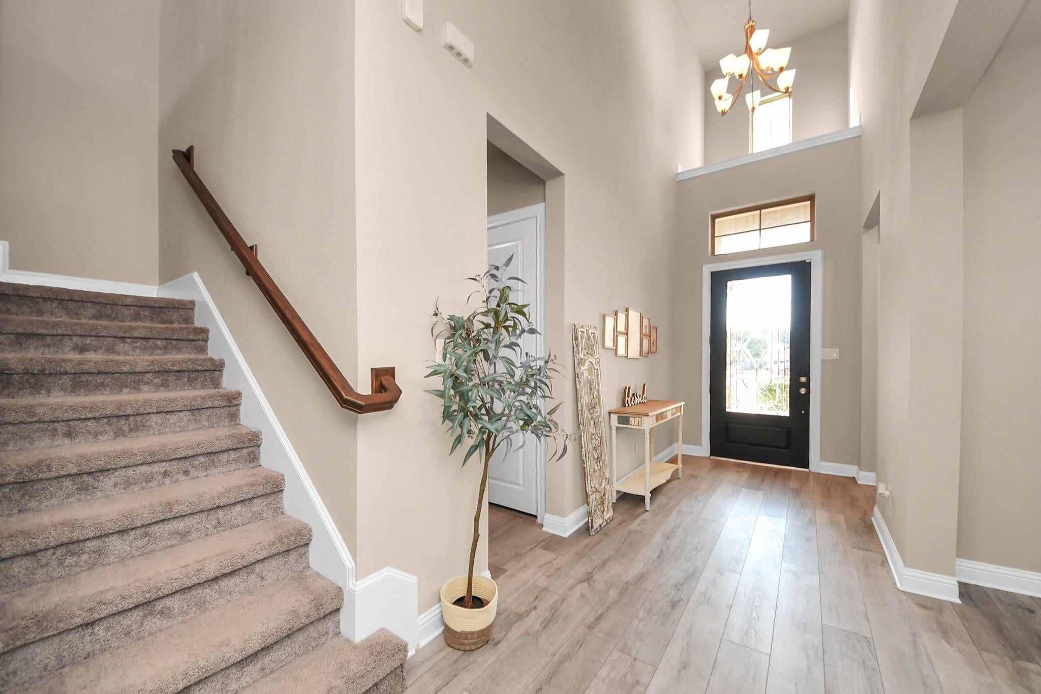 29842 Bellous River Lane