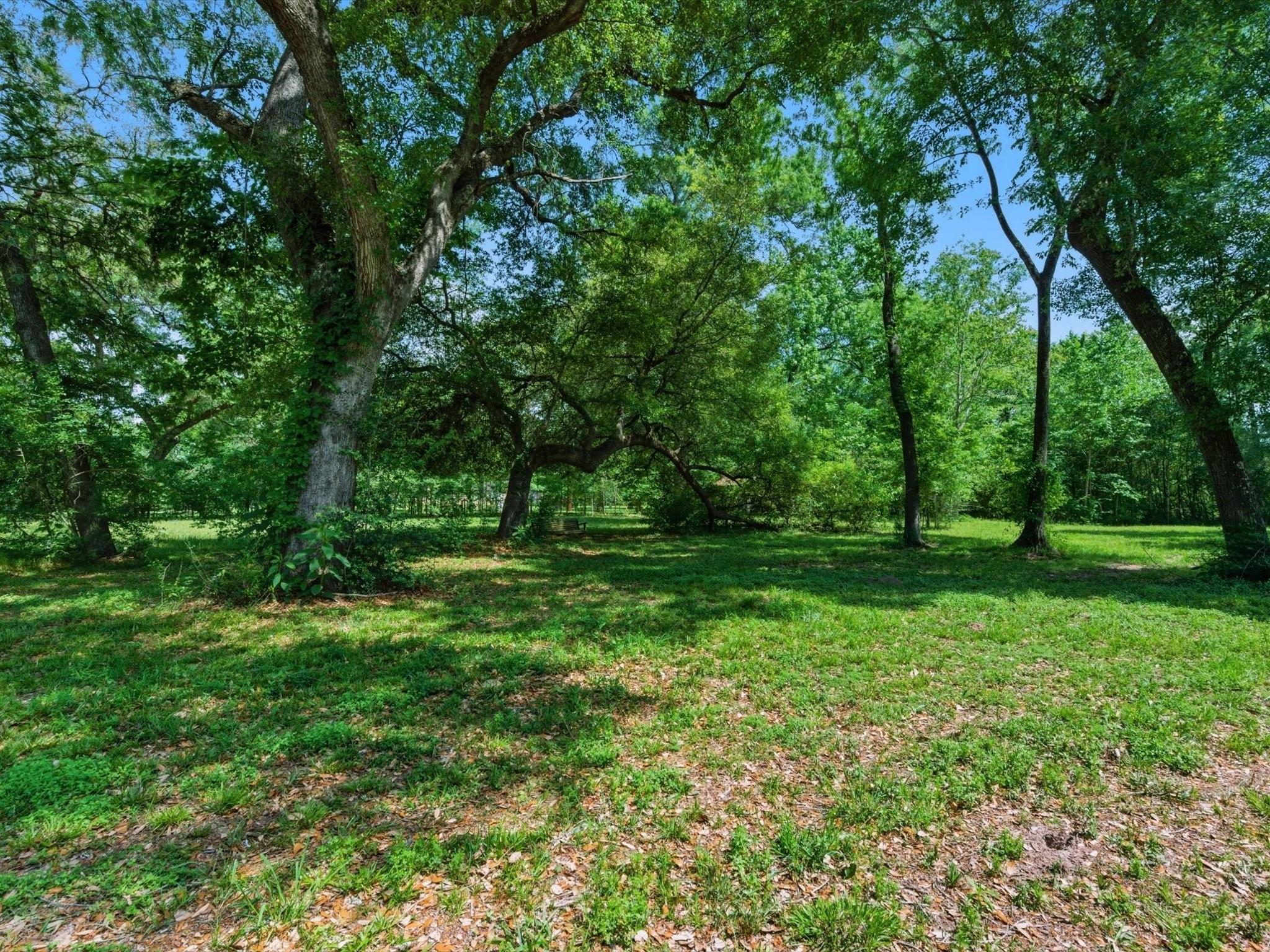 27855 Kresdorn Road