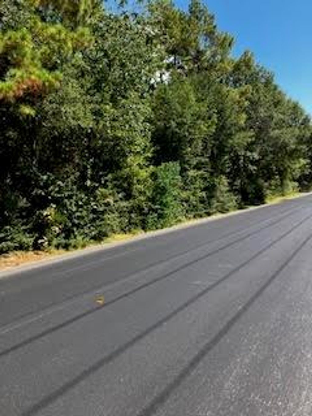 Photo of 16506 W Butera Road Rd, Magnolia, TX 77355 (MLS # 75855168)