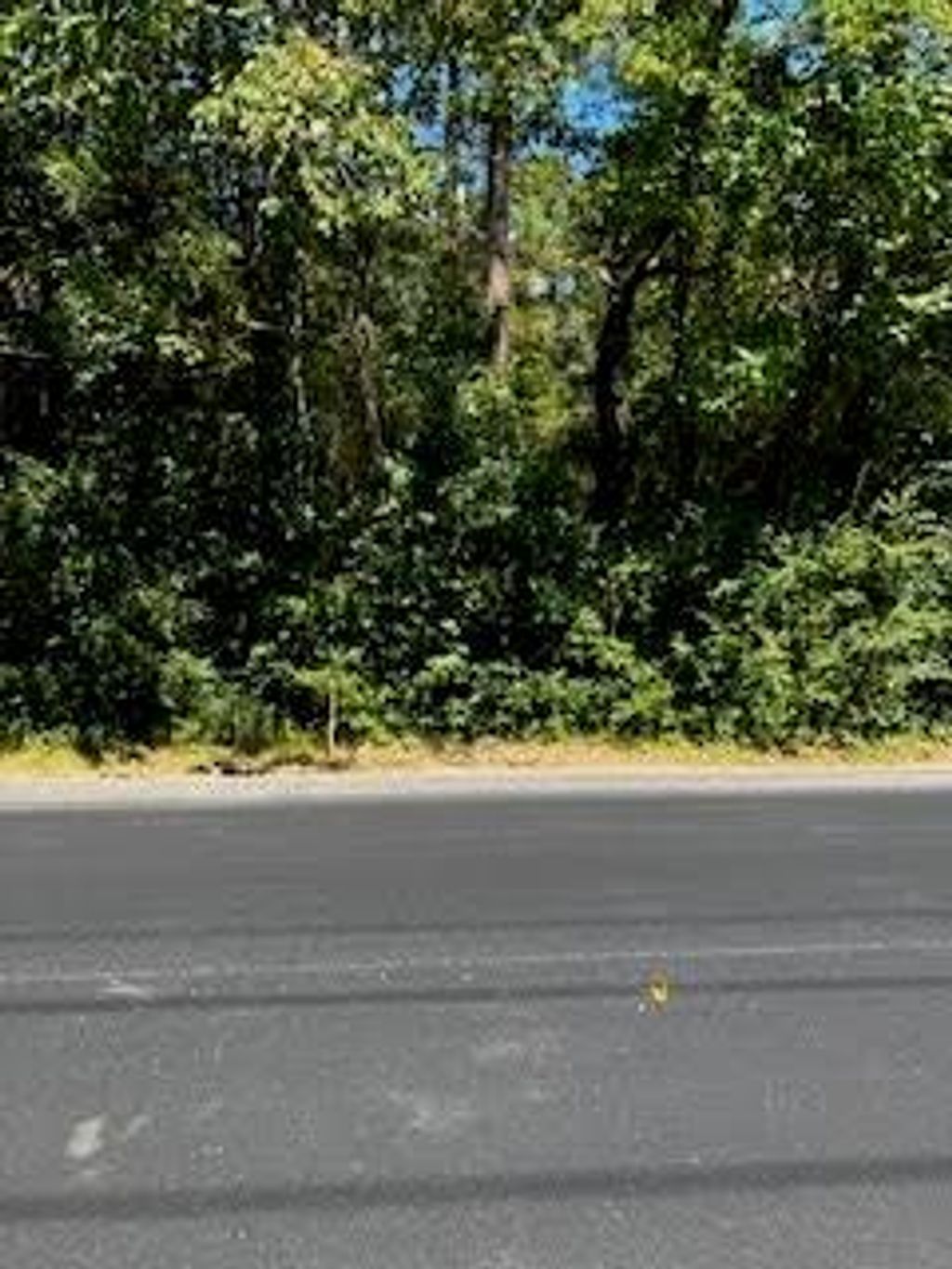 Photo of 16506 W Butera Road Rd, Magnolia, TX 77355 (MLS # 75855168)