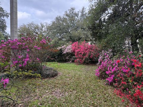 Tiny photo for 107 West Wheat Street W, Woodville, TX 75979 (MLS # 97458430)