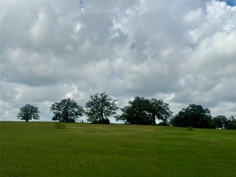Vacant Land For Sale - 1390 Connor Landing Ln<br/> Madison County, Madisonville, TX 77864