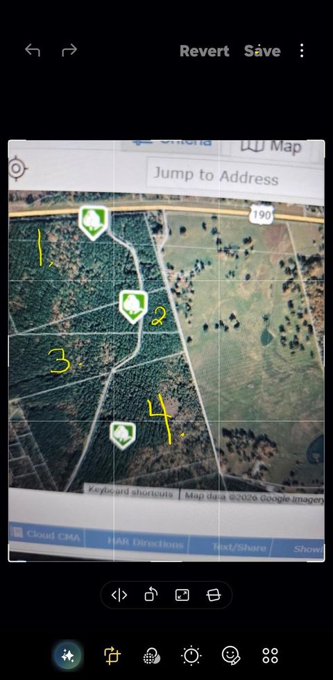 Vacant Land For Sale - TBDPARCEL # 130757 Hwy 190<br/> San Jacinto County, Point Blank, TX 77364