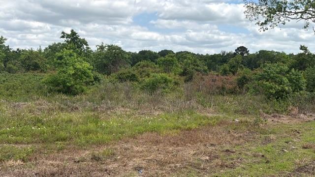 1711 County Road 773