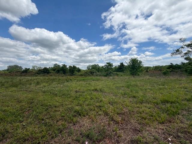 1711 County Road 773