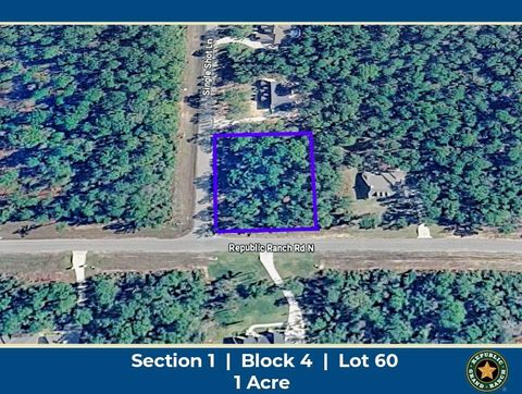 15712 Republic Ranch Road N Willis TX 77378