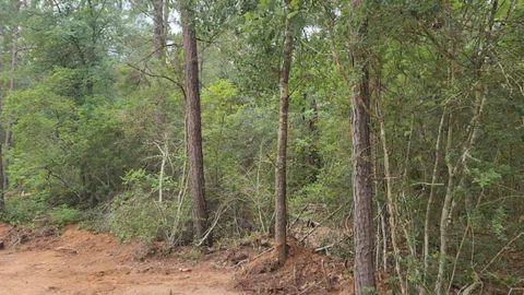 Lot 3 Scarlet Oak Drive Plantersville TX 77363