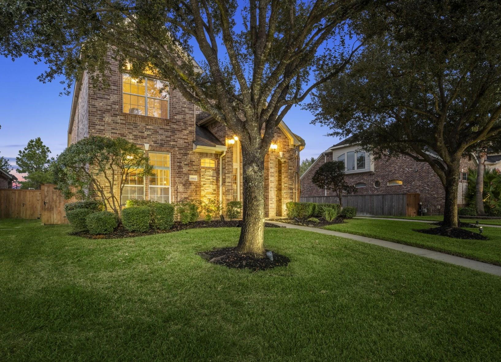 19902 Tidy Tips Lane