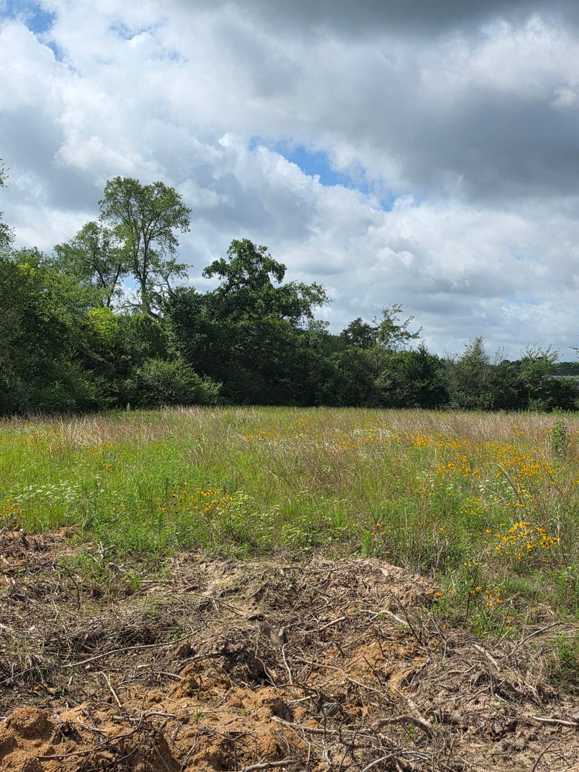 TBD LOT 12 County Road 201