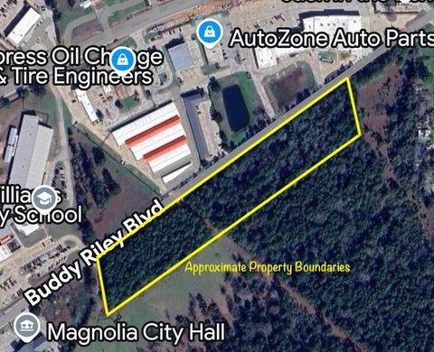 Vacant Land For Sale - TBD Buddy Riley Blvd<br/> Magnolia, TX 77354