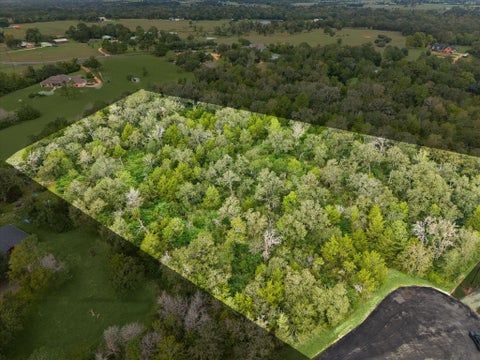 Photo of 150 Lola Lane, Bellville, TX 77418 (MLS # 94091746)
