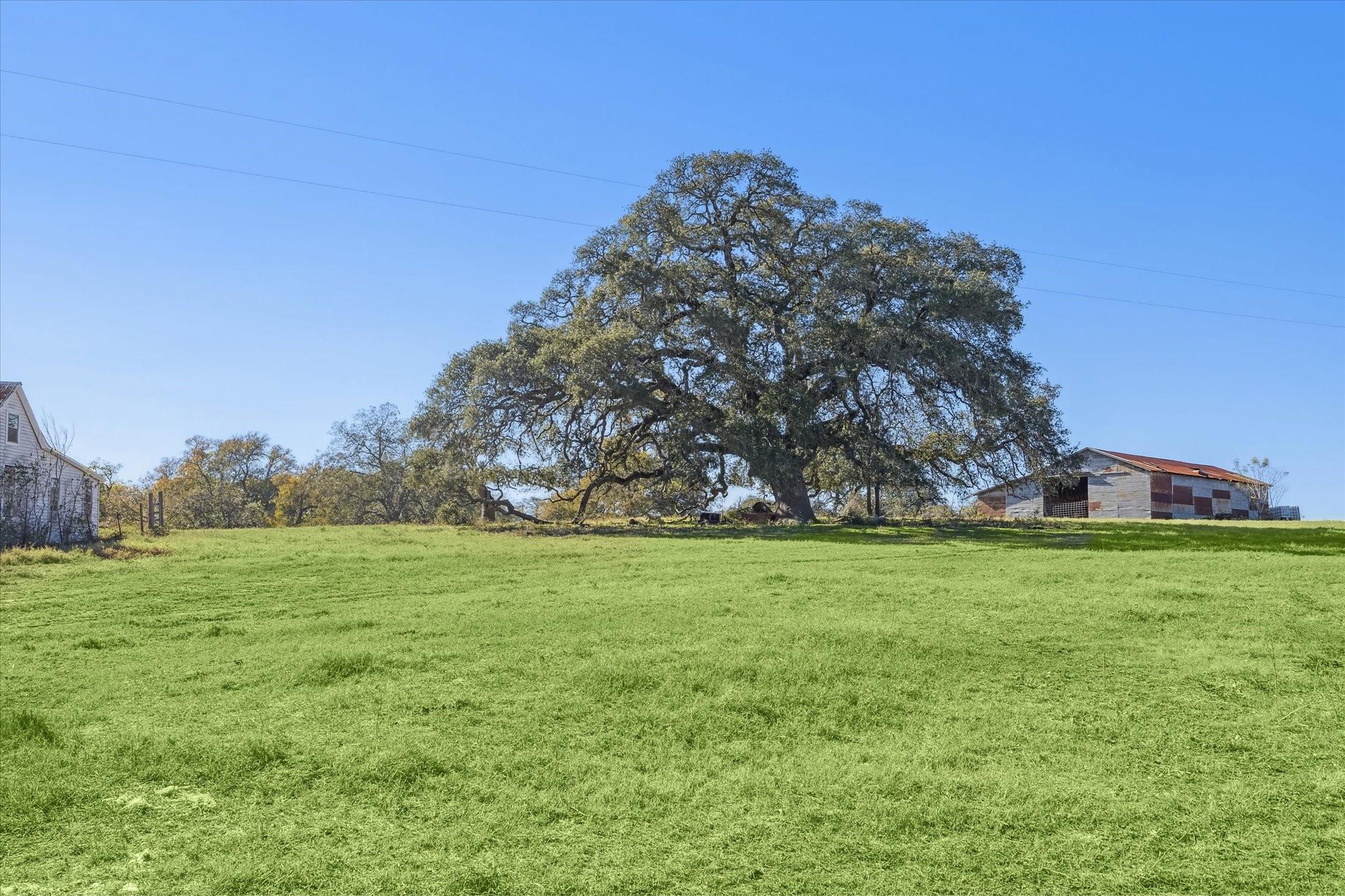 6230 Kovar Road