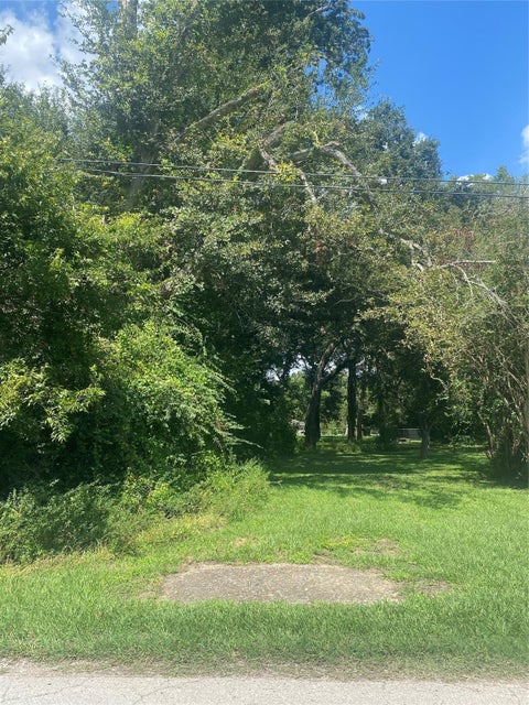 Photo of 402 E Young Street, Dayton, TX 77535 (MLS # 13040879)