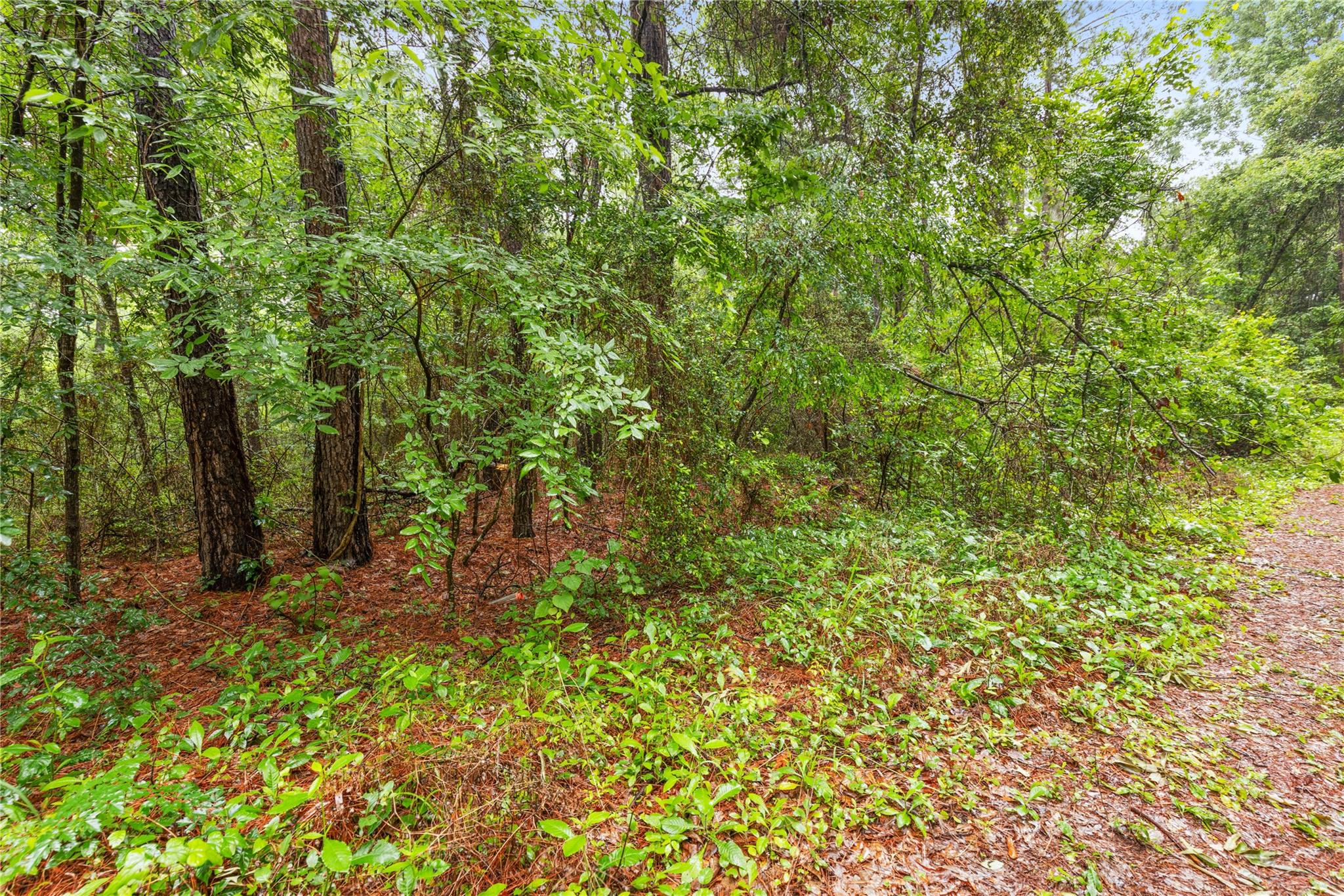 TBD Whispering Pines Lane