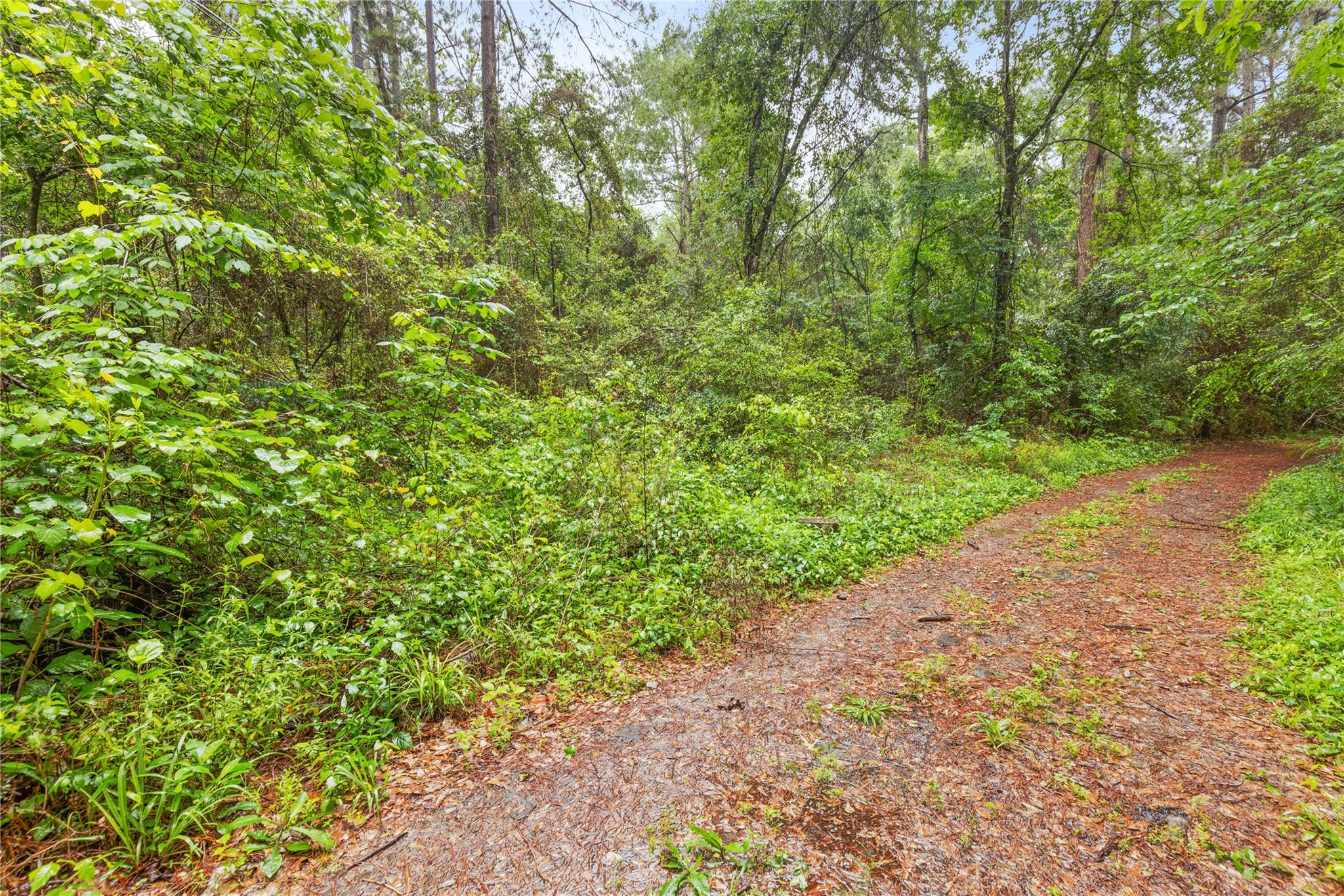 TBD Whispering Pines Lane