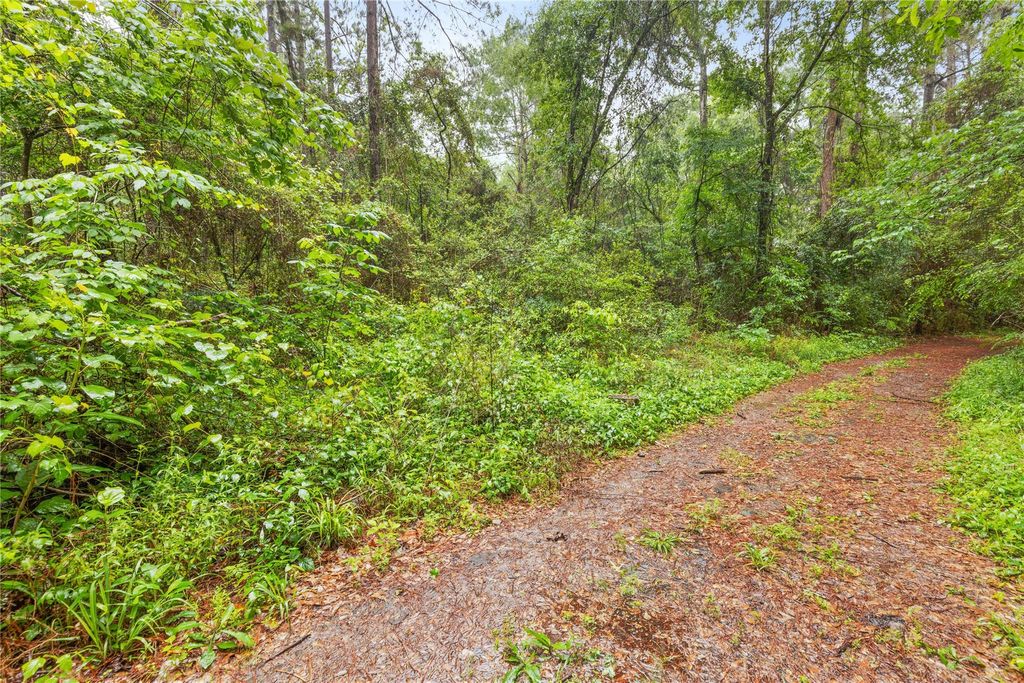 Photo of TBD Whispering Pines Lane, Plantersville, TX 77363 (MLS # 43311593)