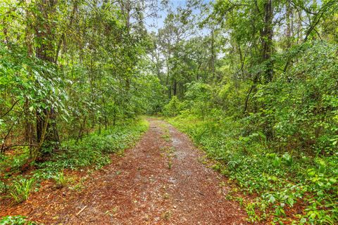 Photo of TBD Whispering Pines Lane, Plantersville, TX 77363 (MLS # 43311593)