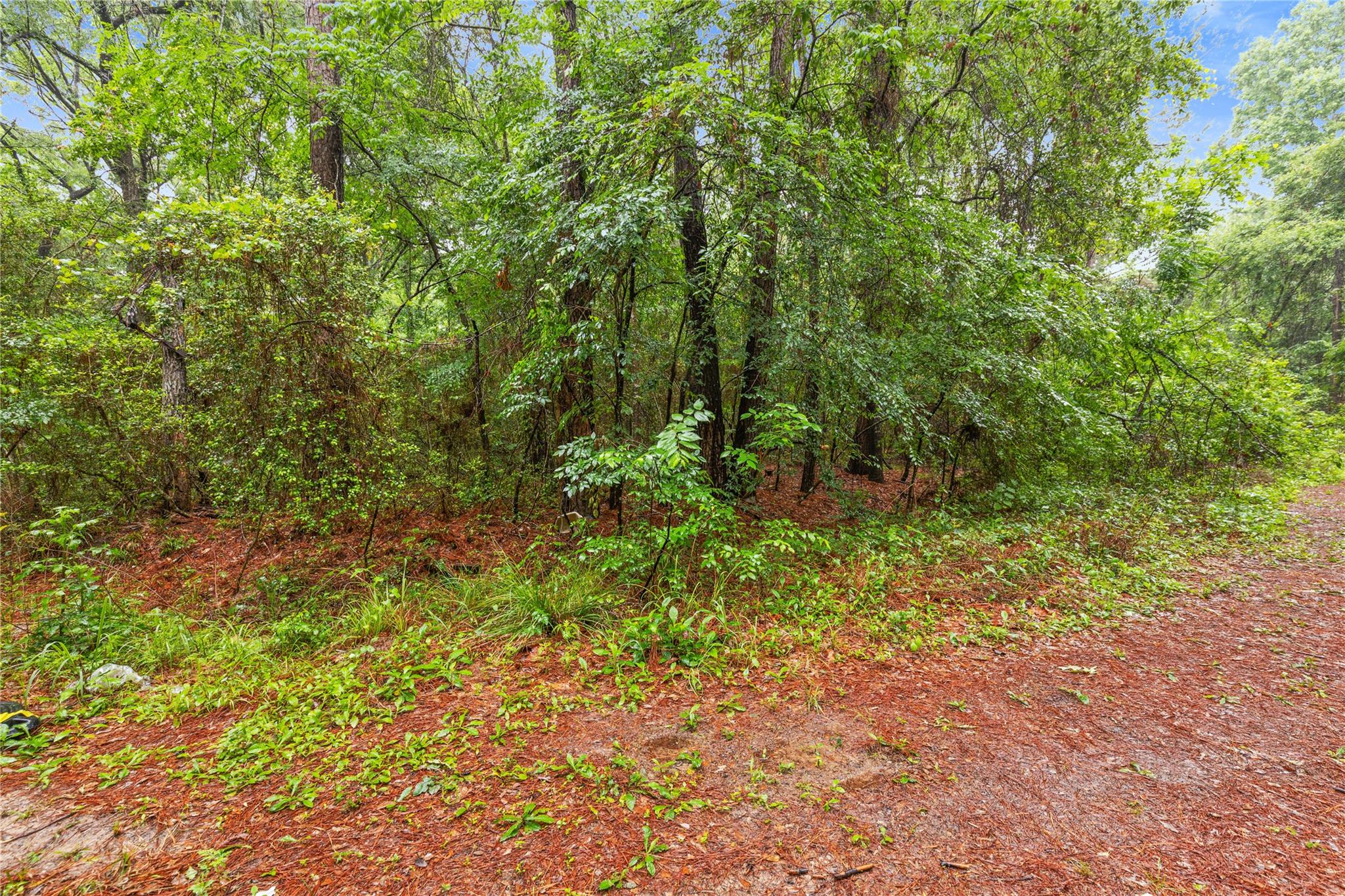 TBD Whispering Pines Lane