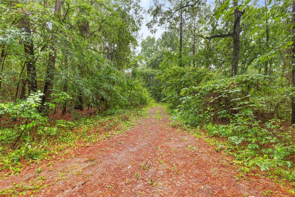Photo of TBD Whispering Pines Lane, Plantersville, TX 77363 (MLS # 43311593)
