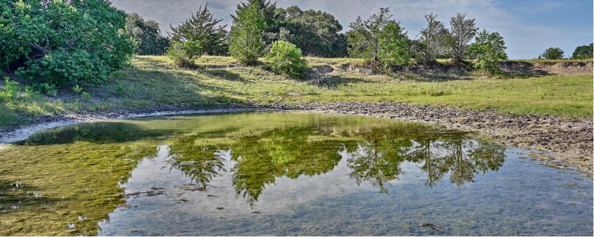 +/- 34 Acres Leslie Road