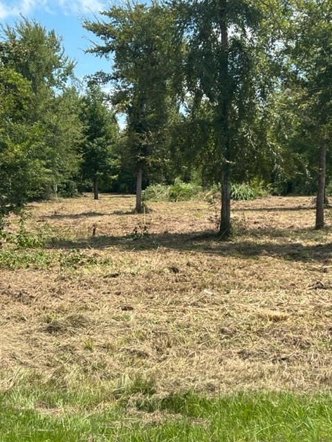 160 Branchwood Drive