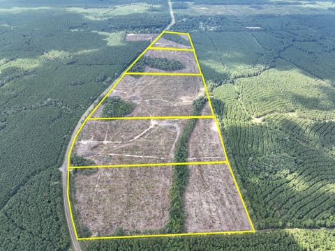 Vacant Land For Sale - 4 Fm 92<br/> Spurger, TX 77660