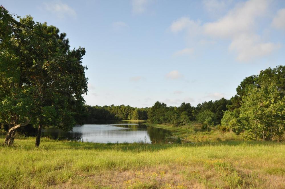 TBD Old Riley Fuzzel Rd