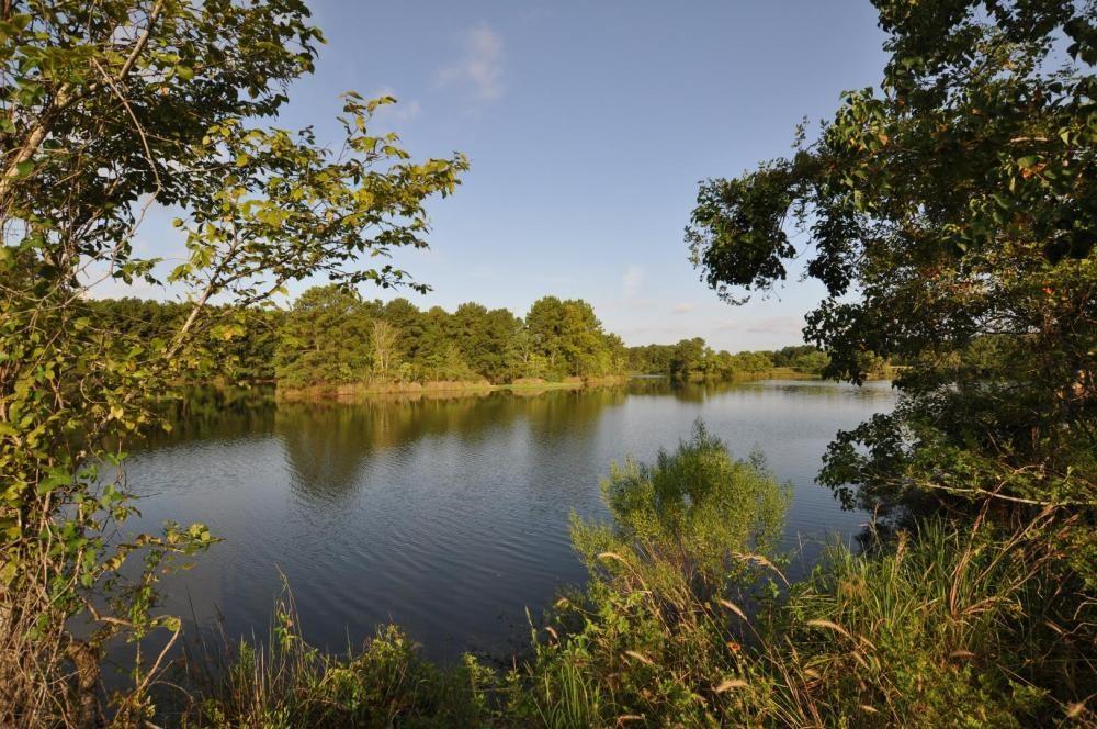 TBD Old Riley Fuzzel Rd