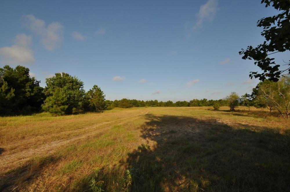 TBD Old Riley Fuzzel Rd