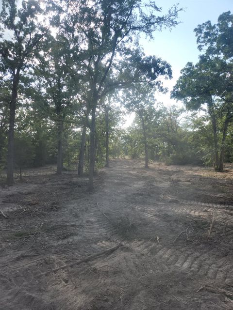 Photo of 13319 Tyler Ln Ln, Franklin, TX 77856 (MLS # 33526183)