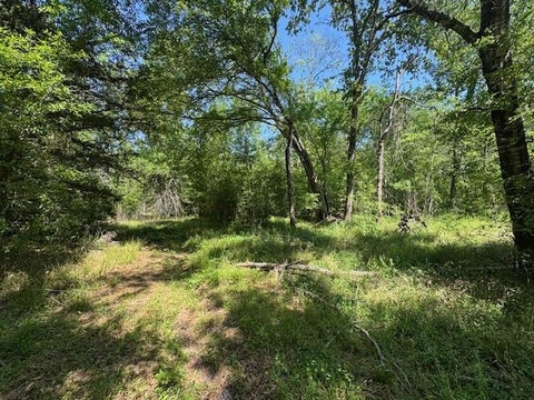 Vacant Land For Sale - 112 Brazil Boulevard<br/> Walker County, Huntsville, TX 77320