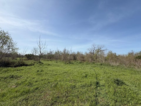 Photo of 0 County Road 613, Angleton, TX 77515 (MLS # 25051603)