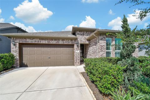 110 Wild Wisteria Lane Montgomery TX 77316