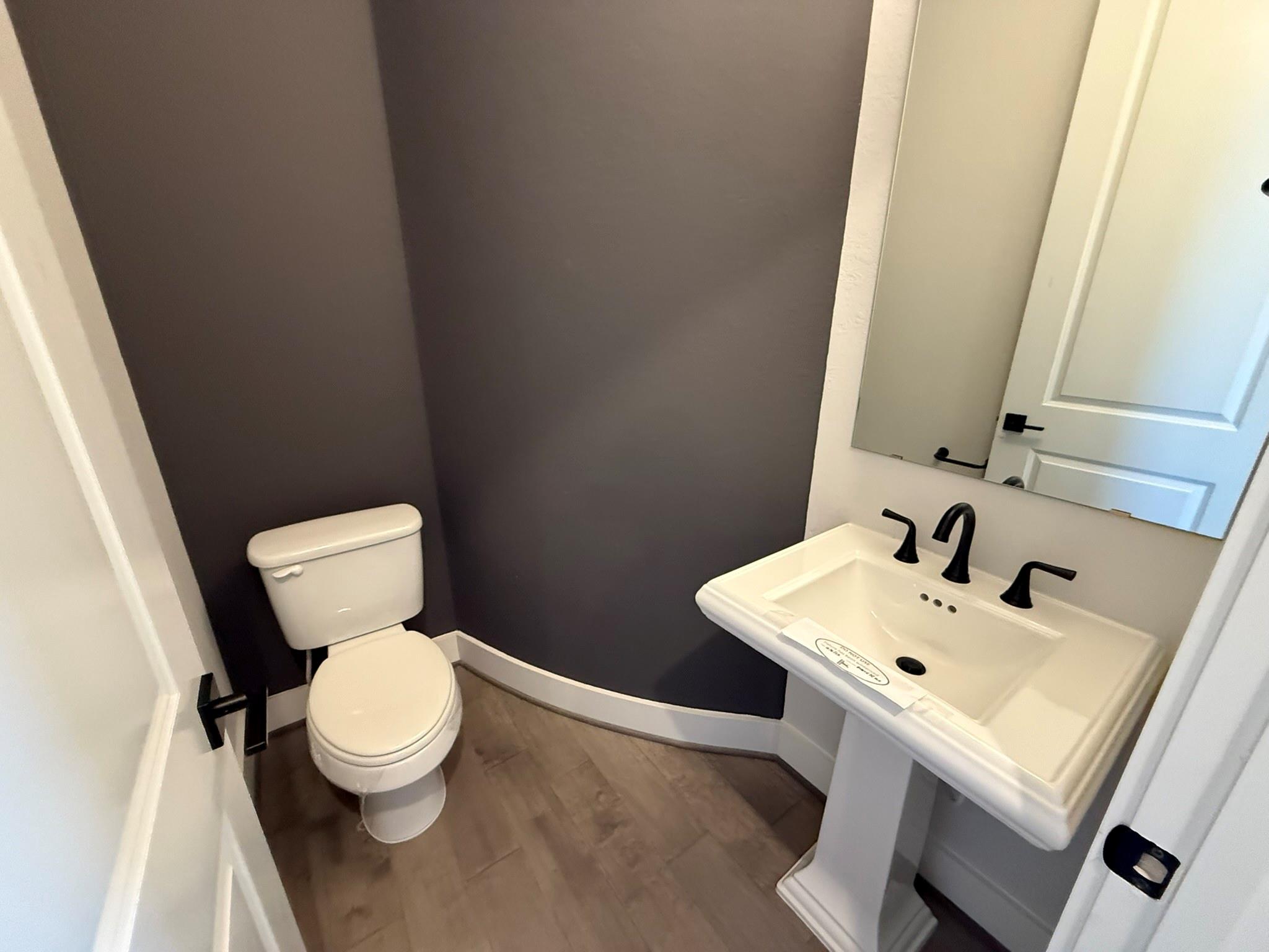 21319 Blue Wood Aster Court