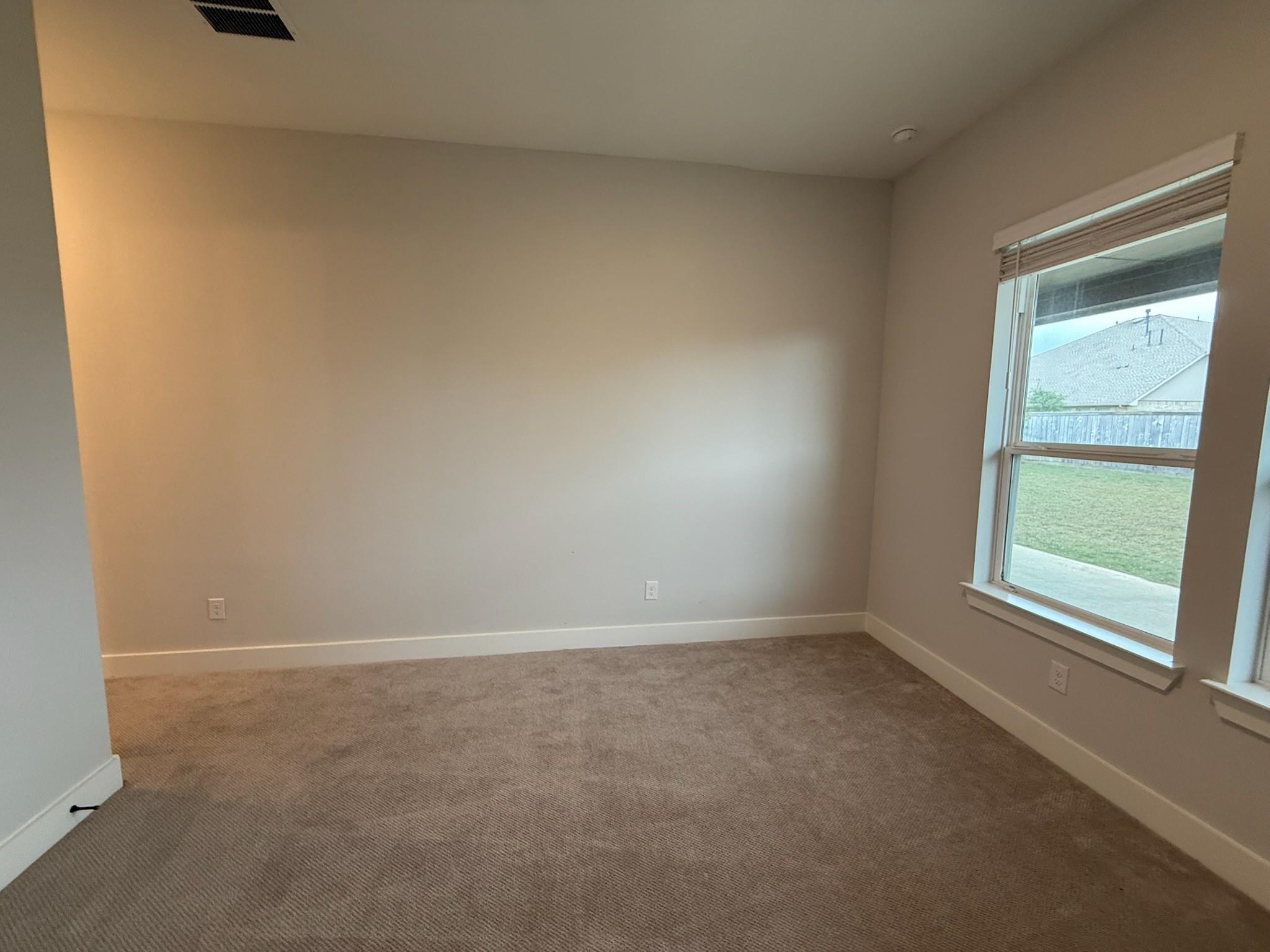 21319 Blue Wood Aster Court