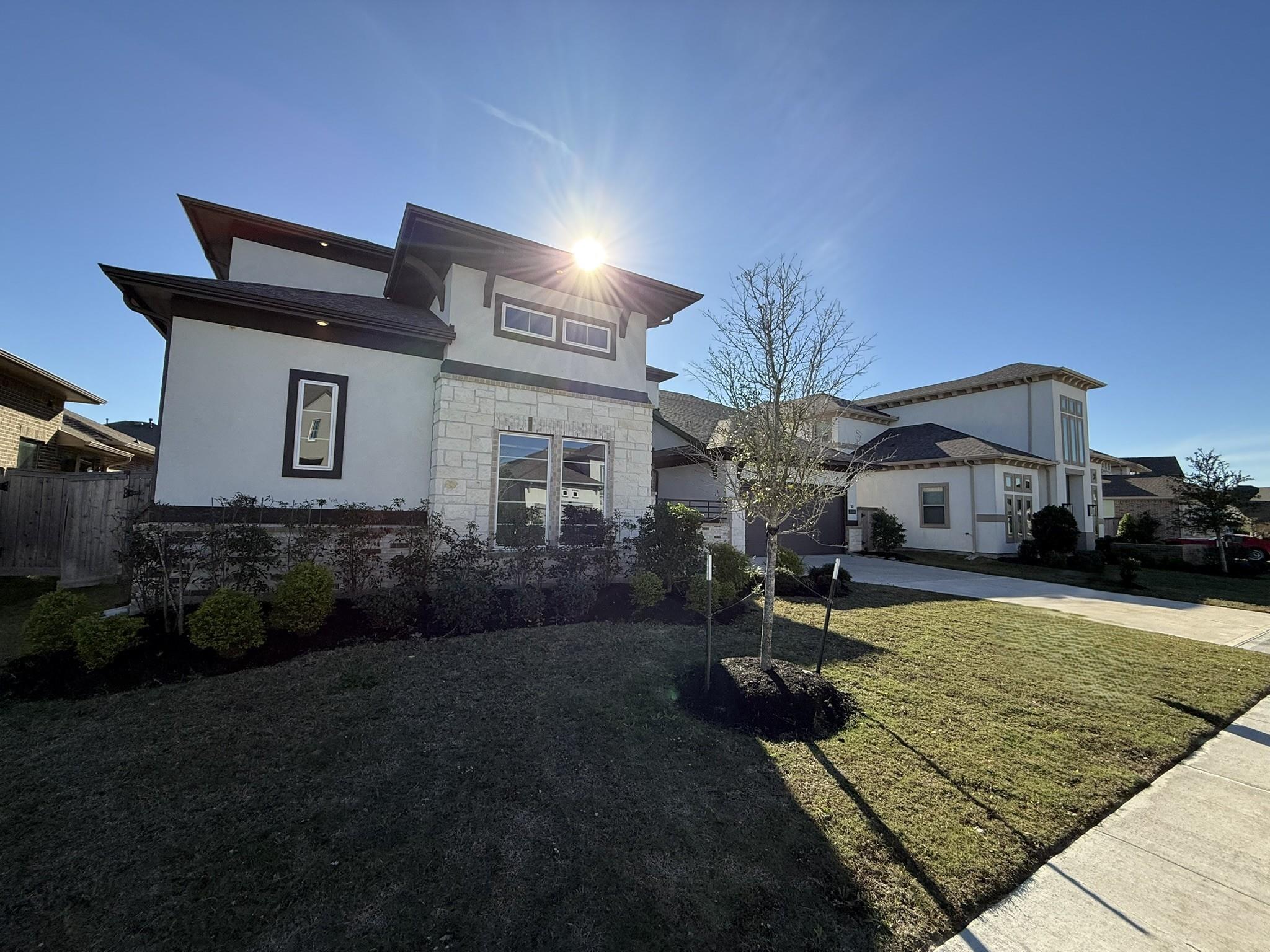 21319 Blue Wood Aster Court