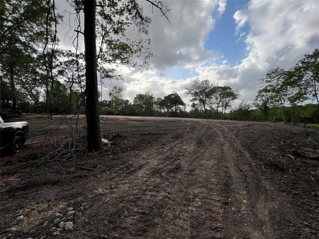 Photo of 2450 Roy Road, Pearland, TX 77581 (MLS # 47353242)