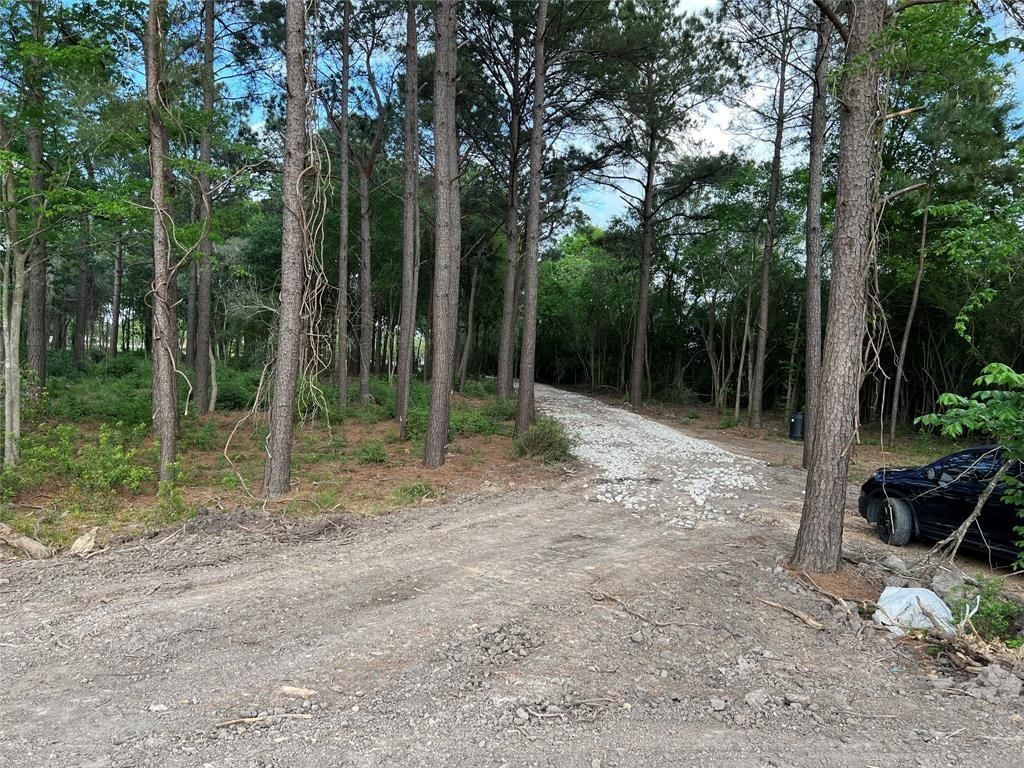 Photo of 2450 Roy Road, Pearland, TX 77581 (MLS # 47353242)