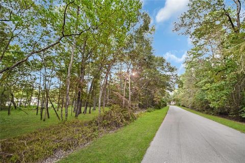 Photo of 231 Chariot Lane Ln, Roman Forest, TX 77357 (MLS # 74457540)