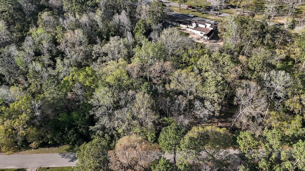 Photo of 231 Chariot Lane Ln, Roman Forest, TX 77357 (MLS # 74457540)