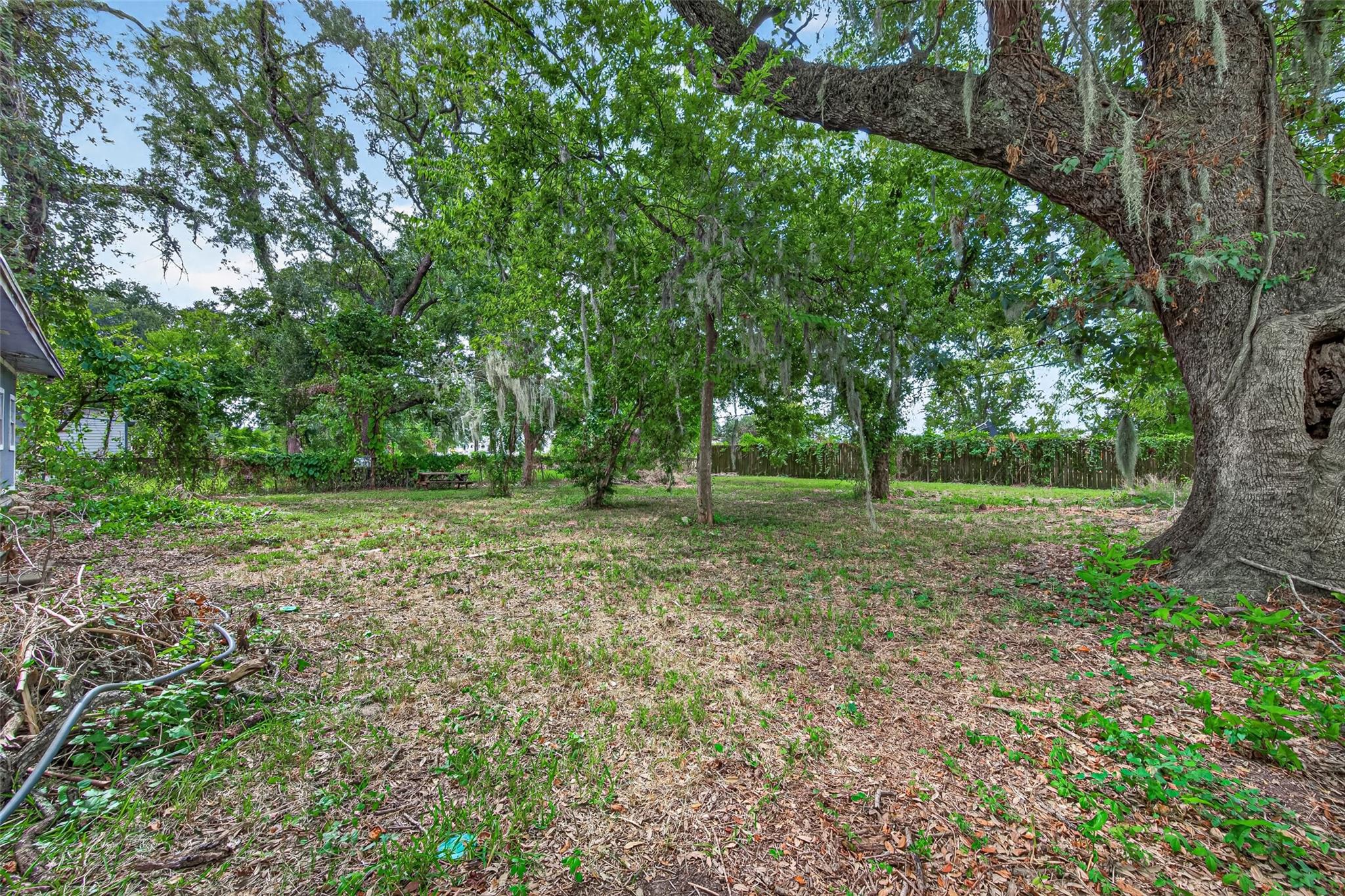 804 Azalea Street