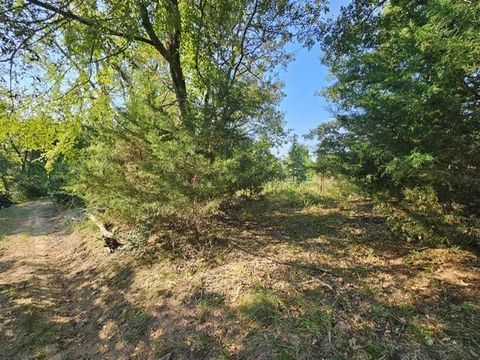 Photo of 223 An County Road 4250, Palestine, TX 75803 (MLS # 59840030)