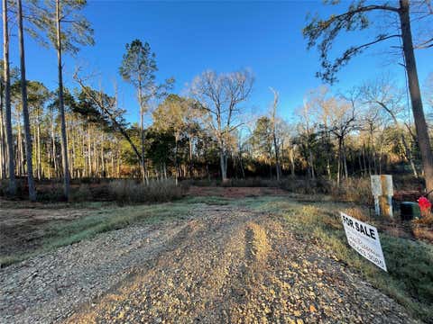 Photo of 11351 Annie Creek Drive Dr, Willis, TX 77378 (MLS # 84197175)