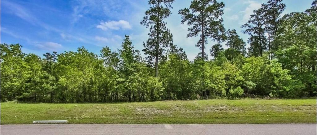 Photo of 27588 S Lazy Meadow Way, Spring, TX 77386 (MLS # 73120103)